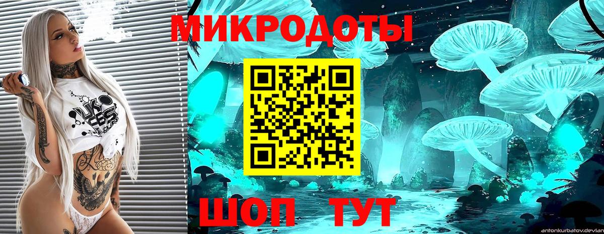 Воронеж  Галлюциногенные грибы Psilocybe  Вход с VPN 